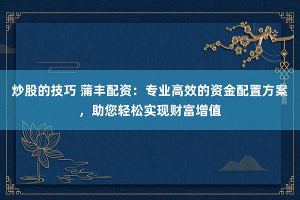 炒股的技巧 蒲丰配资：专业高效的资金配置方案，助您轻松实现财富增值