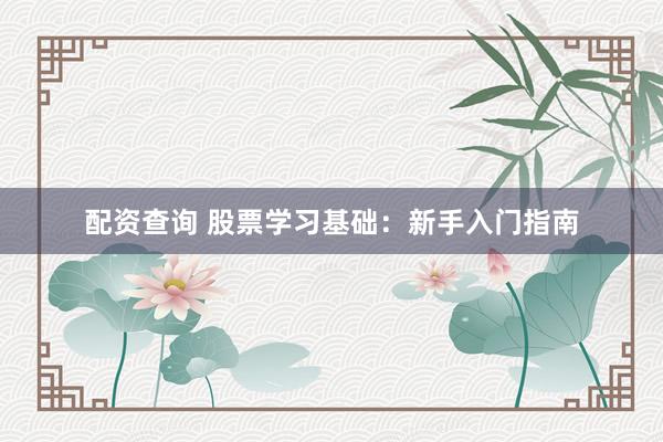 配资查询 股票学习基础：新手入门指南
