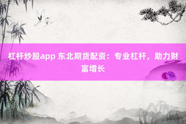 杠杆炒股app 东北期货配资：专业杠杆，助力财富增长