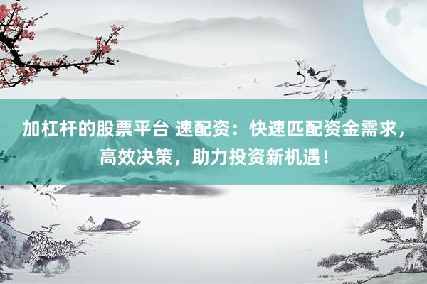 加杠杆的股票平台 速配资：快速匹配资金需求，高效决策，助力投资新机遇！