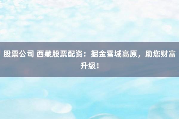 股票公司 西藏股票配资：掘金雪域高原，助您财富升级！