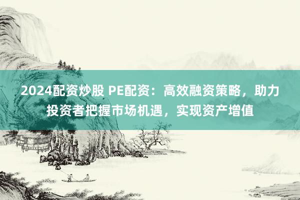 2024配资炒股 PE配资：高效融资策略，助力投资者把握市场机遇，实现资产增值