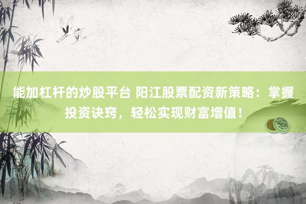 能加杠杆的炒股平台 阳江股票配资新策略：掌握投资诀窍，轻松实现财富增值！