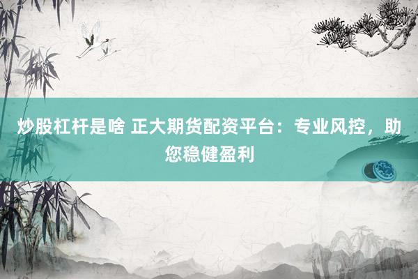 炒股杠杆是啥 正大期货配资平台：专业风控，助您稳健盈利