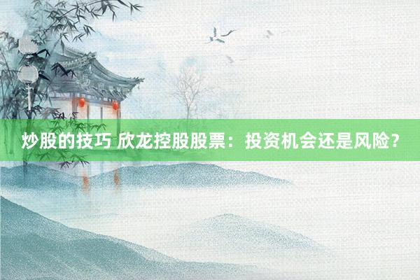 炒股的技巧 欣龙控股股票：投资机会还是风险？