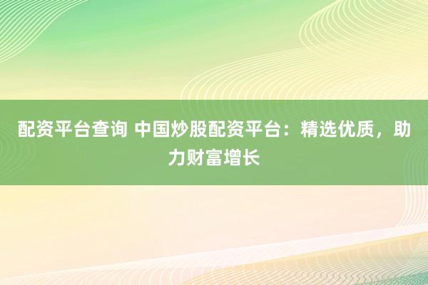 配资平台查询 中国炒股配资平台：精选优质，助力财富增长