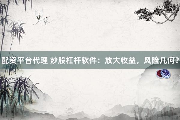 配资平台代理 炒股杠杆软件：放大收益，风险几何？