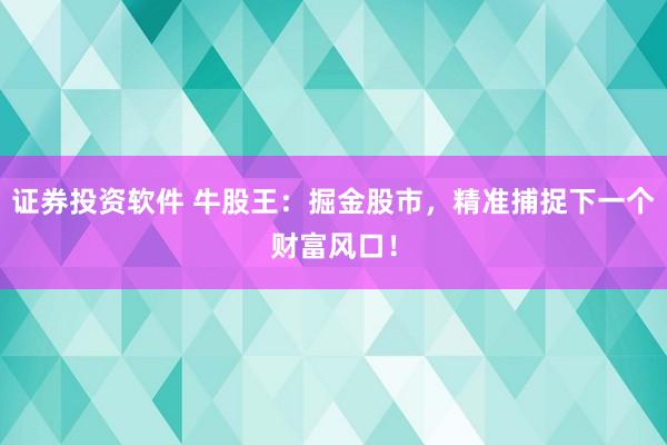 证券投资软件 牛股王：掘金股市，精准捕捉下一个财富风口！
