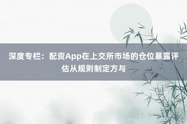 深度专栏：配资App在上交所市场的仓位暴露评估从规则制定方与