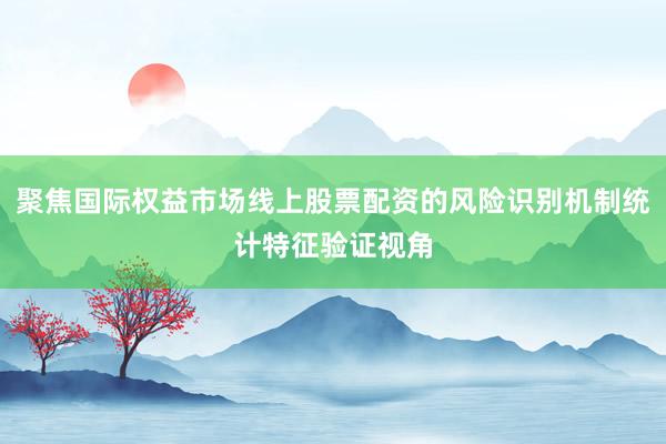 聚焦国际权益市场线上股票配资的风险识别机制统计特征验证视角