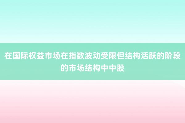 在国际权益市场在指数波动受限但结构活跃的阶段的市场结构中中股