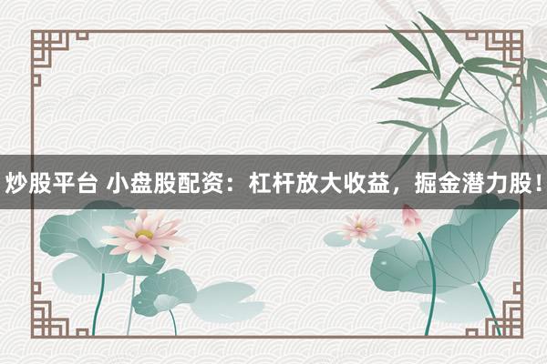 炒股平台 小盘股配资：杠杆放大收益，掘金潜力股！