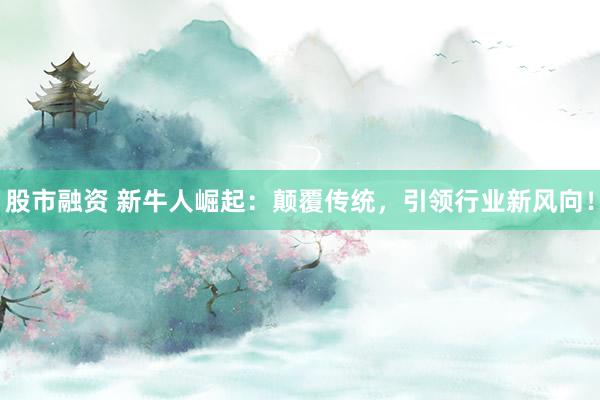 股市融资 新牛人崛起：颠覆传统，引领行业新风向！