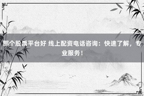那个股票平台好 线上配资电话咨询：快速了解，专业服务！