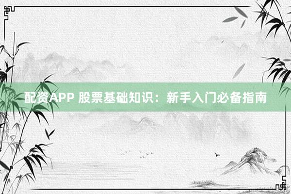 配资APP 股票基础知识：新手入门必备指南