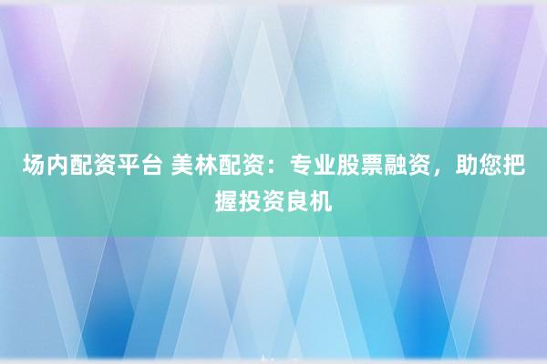 场内配资平台 美林配资：专业股票融资，助您把握投资良机