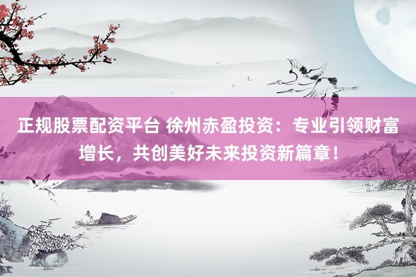正规股票配资平台 徐州赤盈投资：专业引领财富增长，共创美好未来投资新篇章！